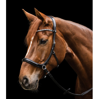 Bitloos hoofdstel Sensation Waldhausen X-Line Bitloos hoofdstel Sensation Waldhausen X-Line