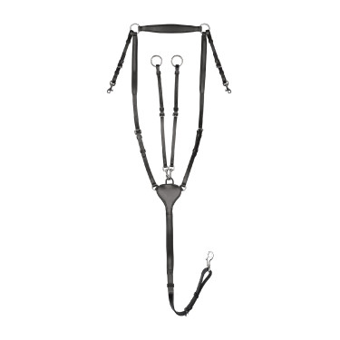 Collier de chasse Waldhausen Professional X-Line Zwart