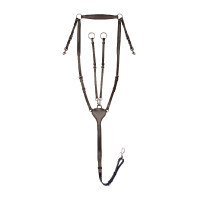 Collier de chasse Waldhausen Professional X-Line Bruin