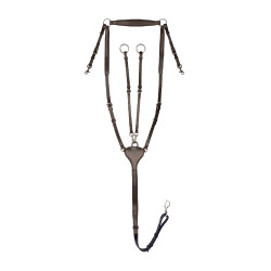 Collier de chasse Waldhausen Professional X-Line Bruin