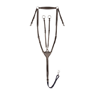 Collier de chasse Waldhausen Professional X-Line Bruin