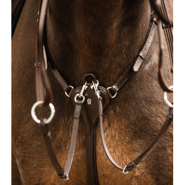 Collier de chasse Waldhausen Professional X-Line Bruin