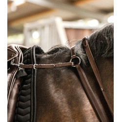 Collier de chasse Waldhausen Professional X-Line Bruin