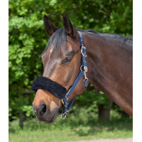 Neusriemhoes Waldhausen Zwart