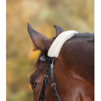 Neusriemhoes Waldhausen Zwart