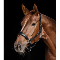 Waldhausen anatomisch leren halster S-Line Zwart