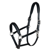 Lederen halster Waldhausen Classy X-Line Zwart / zilver