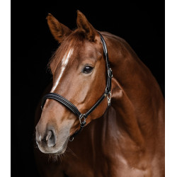 Lederen halster Waldhausen Classy X-Line Zwart / zilver