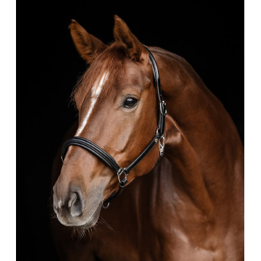 Lederen halster Waldhausen Classy X-Line Zwart / zilver