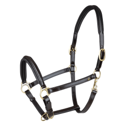 Lederen halster Waldhausen Classy X-Line Bruin / goudkleurig