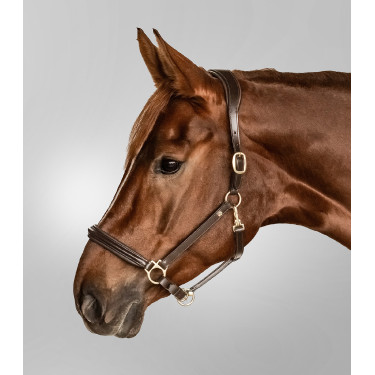 Lederen halster Waldhausen Classy X-Line Bruin / goudkleurig