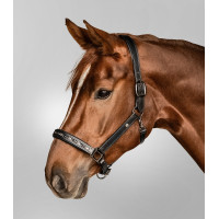 Lederen halster Waldhausen Crystal X-Line Zwart / grijs