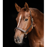 Lederen halster Waldhausen Crystal X-Line Bruin / goud