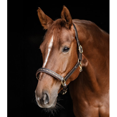 Lederen halster Waldhausen Crystal X-Line Bruin / goud Lederen halster Waldhausen Crystal X-Line Bruin / goud