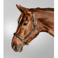 Lederen halster Waldhausen Crystal X-Line Bruin / goud Lederen halster Waldhausen Crystal X-Line Bruin / goud