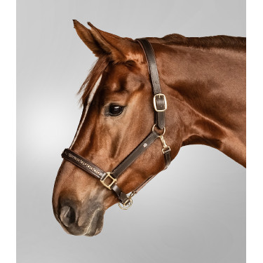 Lederen halster Waldhausen Crystal X-Line Bruin / goud Lederen halster Waldhausen Crystal X-Line Bruin / goud