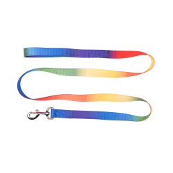 Longe Regenboog Waldhausen
