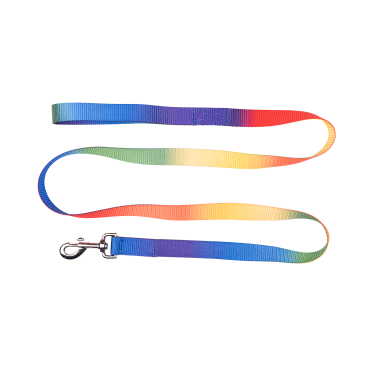 Longe Regenboog Waldhausen