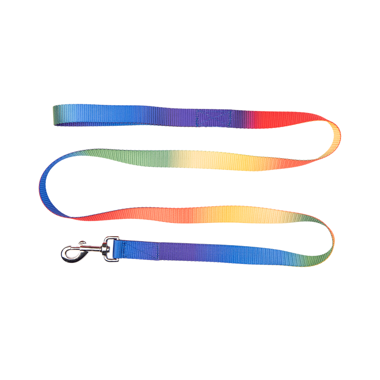 Longe Regenboog Waldhausen