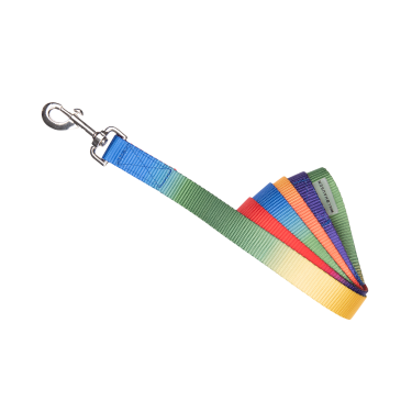 Longe Regenboog Waldhausen Regenboog Multicolor