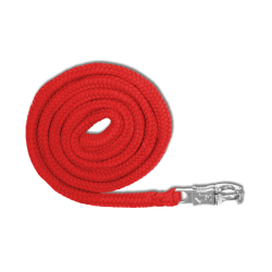 Longe de licol Waldhausen Economic mousqueton Anti-Panique Rood