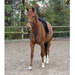 Martingaal Waldhausen X-Line Zwart