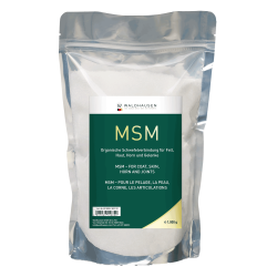 MSM Waldhausen