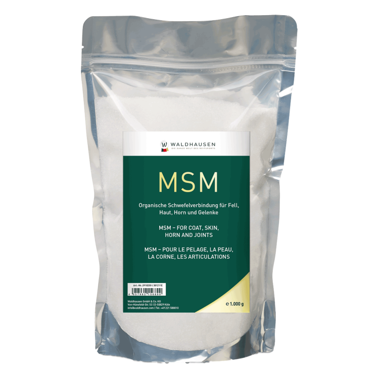 MSM Waldhausen