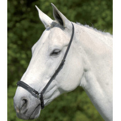 Verstelbare Duitse neusriem Waldhausen S-Line Zwart