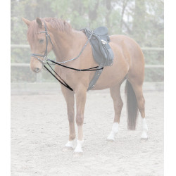 Rênes viennoises Waldhausen X-Line Zwart