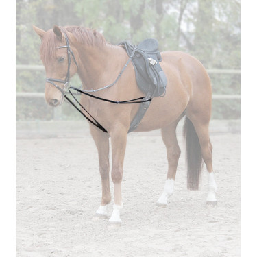 Rênes viennoises Waldhausen X-Line Zwart