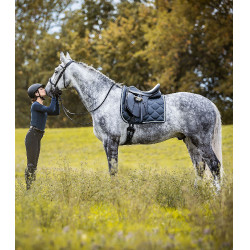 Waldhausen Premium dressuurzadel van leer Zwart