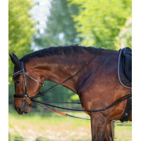 Rênes triangulaire W-train Waldhausen Zwart