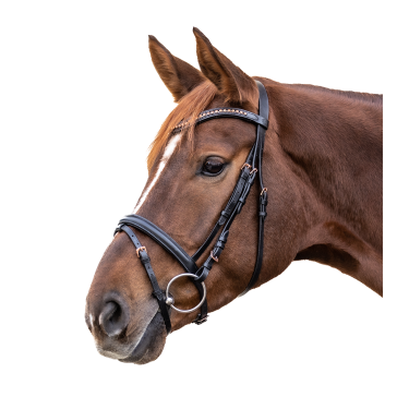 Bridon Rosemary Star Zwart Bridon Rosemary Star Zwart