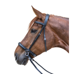 Bitloos hoofdstel Star