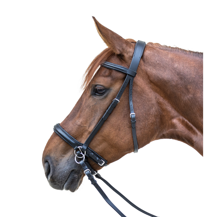 Bitloos hoofdstel Star