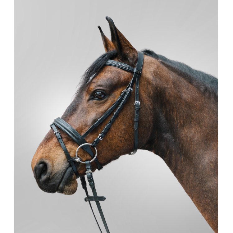 Bridon Star Diamond