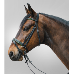 Bridon Star Diamond Groen