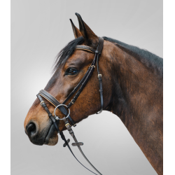 Bridon Star Diamond Bruin / goud