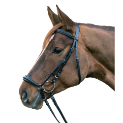 Bridon Star Hannover Bridon Star Hannover