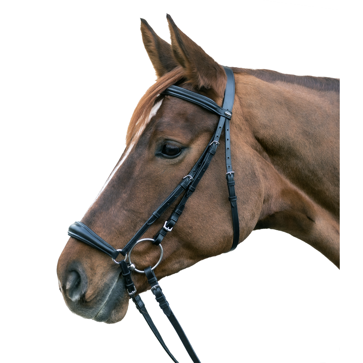 Bridon Star Hannover Bridon Star Hannover