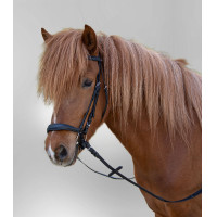 Bridon Star Hannover Zwart Bridon Star Hannover Zwart