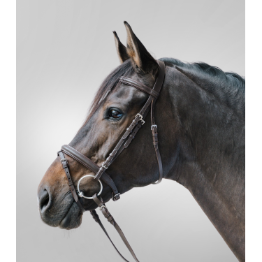 Bridon Star Lifestyle Bruin