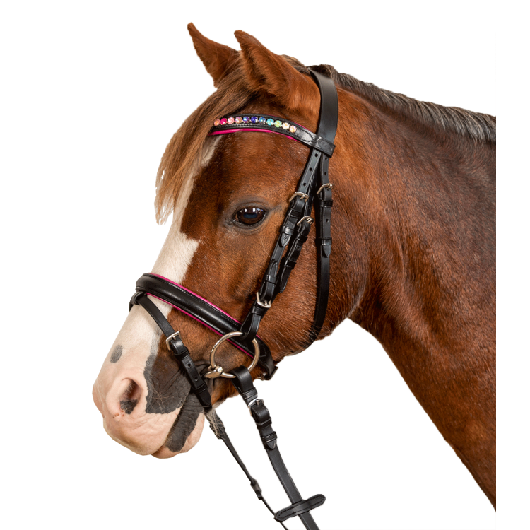 Bridon Star Pinky