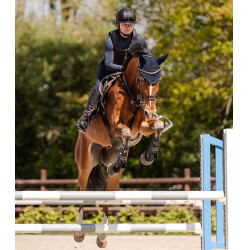 Swing Helm H24 Lady shine Zwart glans, mat