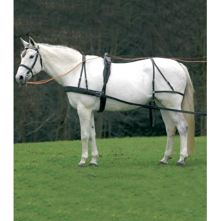 Eenvoudig Star Economic tuig van cob tot groot paard