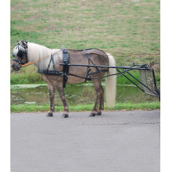 Eenvoudig Star tuig Economic pony shetland