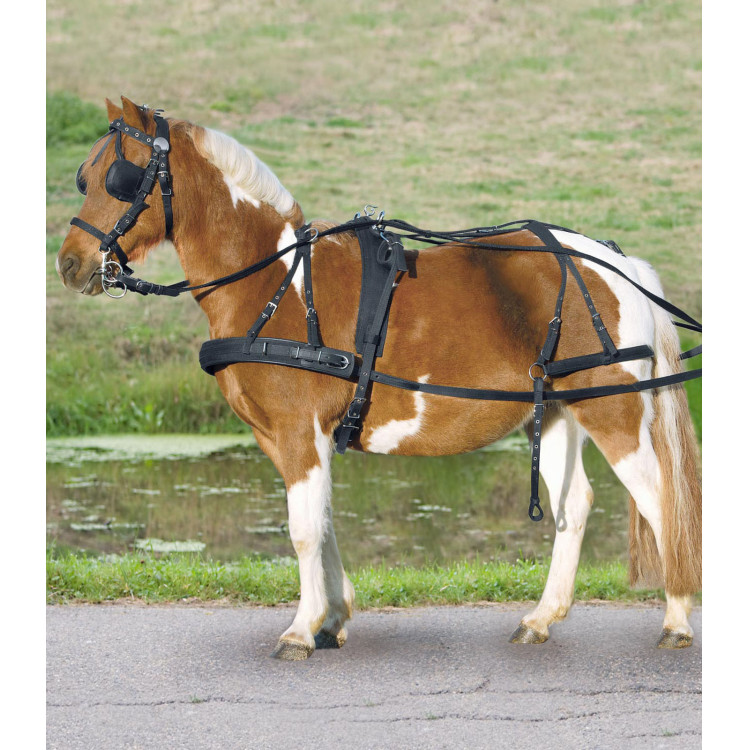 Eenvoudig synthetisch halster Star pony shetland