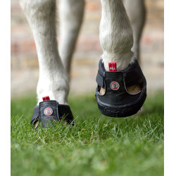 Trekpaardenschoenen Equine Fusion® Zwart Trekpaardenschoenen Equine Fusion® Zwart