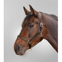 Lederen halster Star Diamond Bruin / goud Lederen halster Star Diamond Bruin / goud